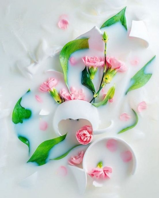Flor plana con porcelana rota