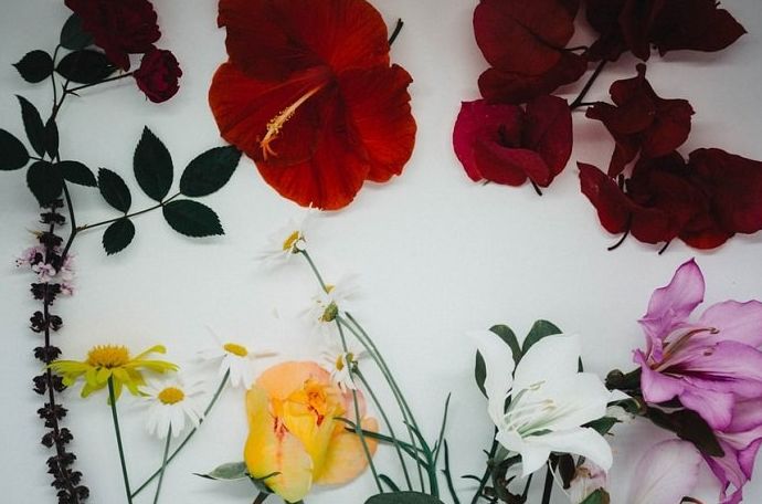 Flower Flat Lay Photography: Múltiples flores utilizadas para transmitir una sensación de verano