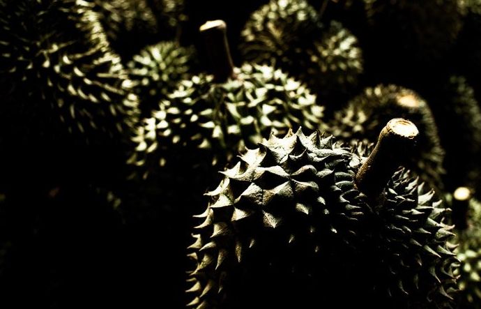 Una foto oscura y sucia de la fruta durián