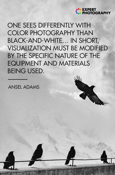 Una foto de pájaros posados ​​contra una pared superpuesta con una cita fotográfica en blanco y negro de Ansel Adams