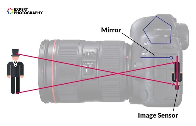 una infografía que explica cómo una dslr ve una imagen