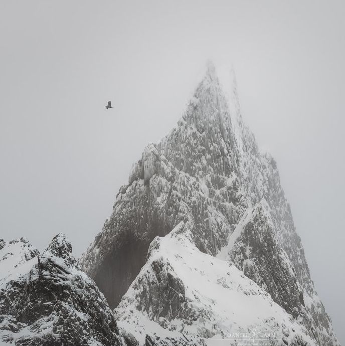 Una hermosa fotografía de paisaje que muestra una montaña rocosa cubierta de hielo con un pájaro volando.