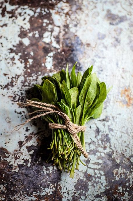 Un manojo de hojas de lechuga envueltas en hilo - forma en fotografía de comida