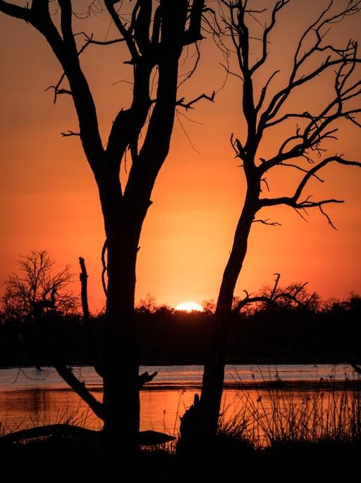 Atardecer en el Delta del Okavango, Botswana.