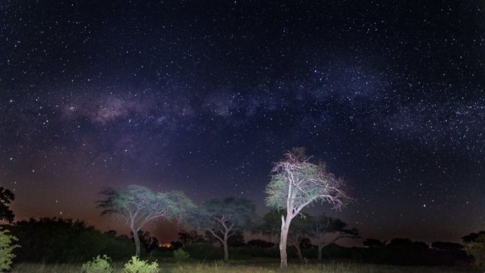 Impresionante paisaje nocturno en el campamento en el delta del Okavango, Botswana. Safari Fotos