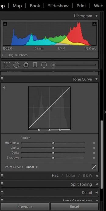una captura de pantalla que muestra cómo se posprocesa la fotografía macro con la curva de tono en Lightroom