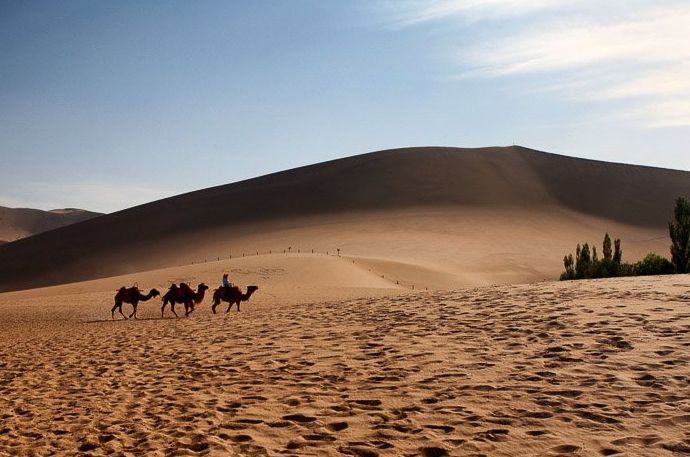 Tres jinetes de camellos moviéndose por un paisaje desértico - regla del espacio en la composición