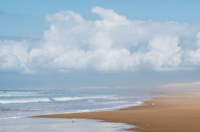 Una escena de playa brillante con gaviotas que muestran el sentido de la escala en la foto.