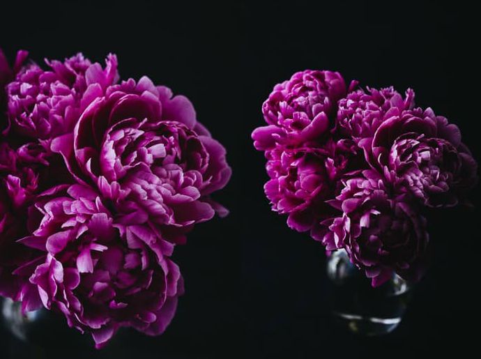 Impresiones fotográficas florales oscuras y malhumoradas a la venta en línea